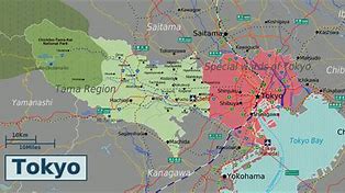 Image result for Tokyo Hospital and Her Map