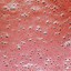 Image result for Smoothie Texture