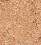 Image result for Champagne Bronze Texture