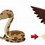 Image result for Food Chain Kids