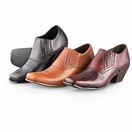 Image result for Western Boots and Shoes