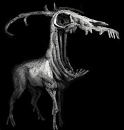 Image result for Deer Fossils