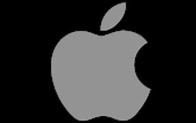 Image result for Current Apple Logo and Type