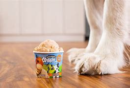 Image result for Proudi Dog Ice Cream