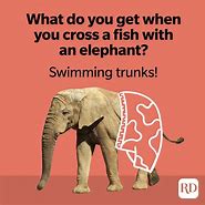 Image result for Funny Elephant Jokes