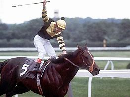 Image result for Seattle Slew Racehorse