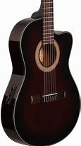 Image result for Thinline Acoustic Electric Guitars