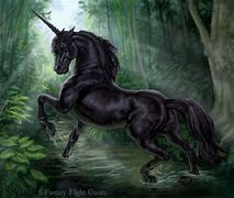 Image result for Unicorn Black Horse