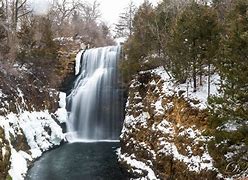 Image result for apple canyon chicago