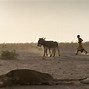 Image result for Horn of Africa Drought