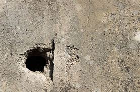 Image result for Hole in Retina