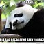 Image result for South Park Sad Panda Meme