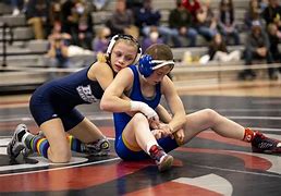 Image result for Girls High School Wrestling Clip Art