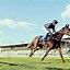 Image result for 2 Horses Racing