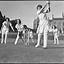 Image result for Cricket Magazine Ages 9-14