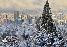 Image result for Portland Oregon Trees Down Winter