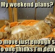 Image result for Have a Great Long Weekend Meme