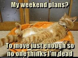 Image result for Long Weekend Coming Up Meme