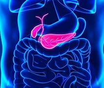 Image result for Pancreatic Cancer