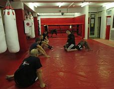 Image result for Mixed Martial Arts