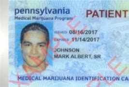 Image result for PA Medical Marijuana Card