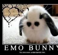 Image result for Emo Bunny PFP