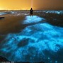 Image result for Blue Ocean at Night