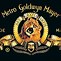 Image result for MGM Metro Goldwyn Mayer Lion