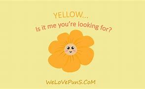 Image result for Party Puns