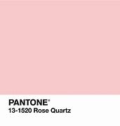 Image result for Pastel Pink Pantone