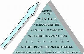 Image result for Warren's Hierarchy of Visual Perception