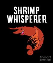Image result for Funny Shrimp
