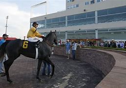 Image result for Meadows Horse Racing