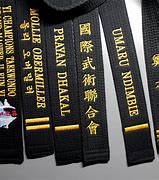 Image result for Black Belt Taekwondo