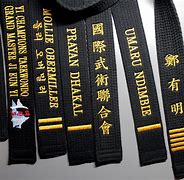 Image result for Black Belt Embroidery