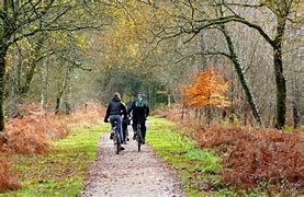 Image result for Family Cycling