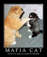 Image result for Cat Mafia Meme