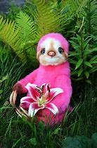Image result for Sweet Sloth