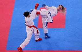 Image result for Karate