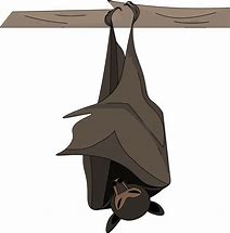 Image result for Clip Art Image of Cartoon Sleeping Bat