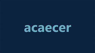 Image result for acaeear