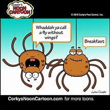 Image result for Funny Cartoons
