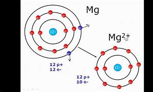 Image result for Octet Rule