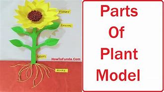 Image result for Plant Model Figure