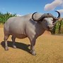 Image result for Albino Bat Planet Zoo