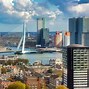 Image result for Rotterdam Attractions