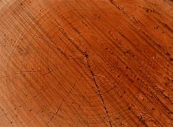 Image result for Walnut Wood Texture