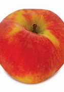 Image result for Fruit Apple Features