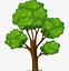 Image result for Cartoon Tree