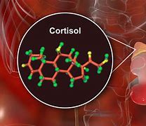 Image result for Corticosteroides